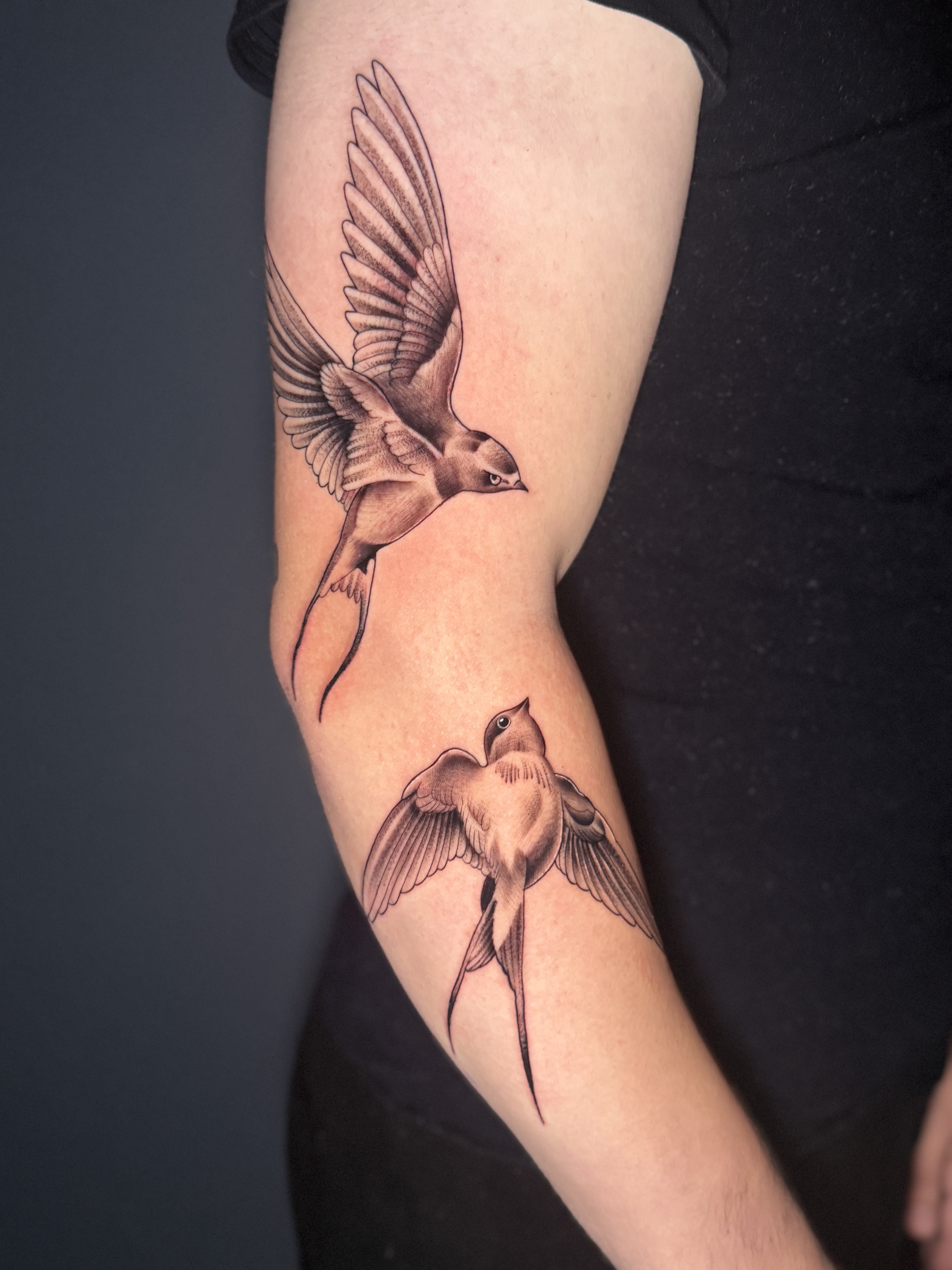 Schwalben-Tattoo am Arm – Cataleya Ink